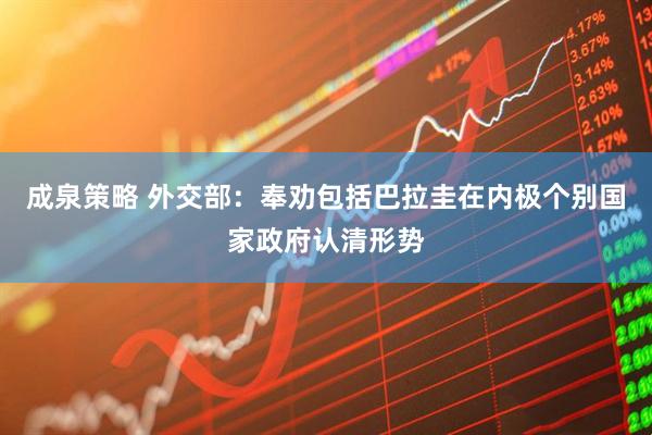 成泉策略 外交部：奉劝包括巴拉圭在内极个别国家政府认清形势