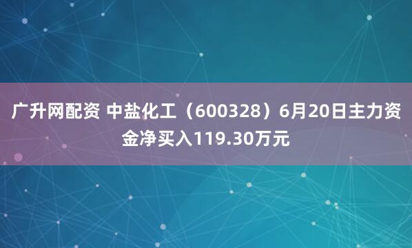 广升网配资 中盐化工（600328）6月20日主力资金净买入119.30万元